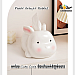 Bunny Tissue box